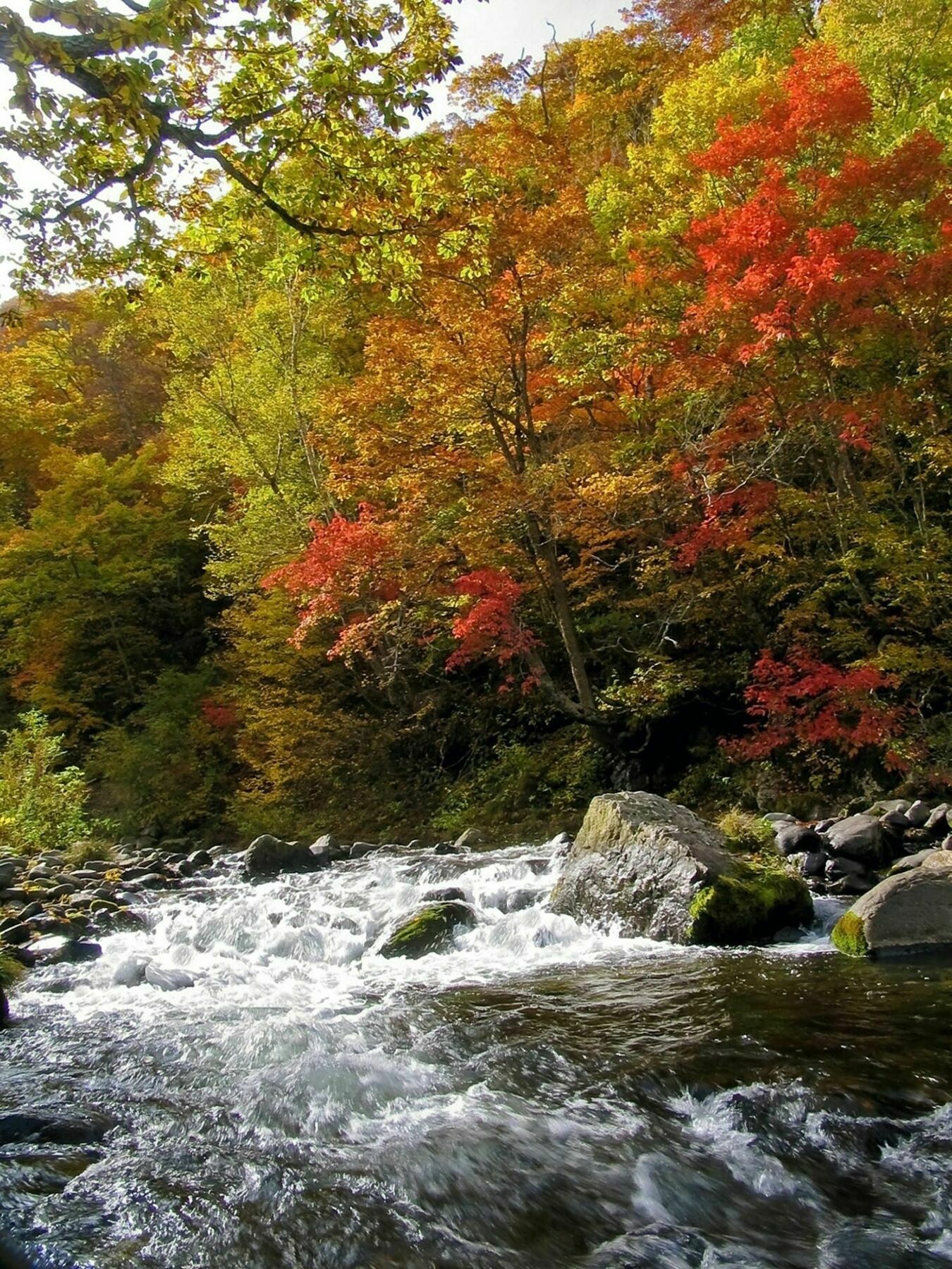 Kidoike Onsen Hotel Yamanouchi  Buitenkant foto